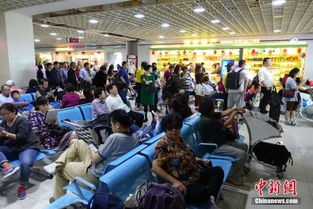 海南出臺商品住宅價格備案新規(guī) 備案后半年內(nèi)不得調(diào)高，助力旅游業(yè)發(fā)展